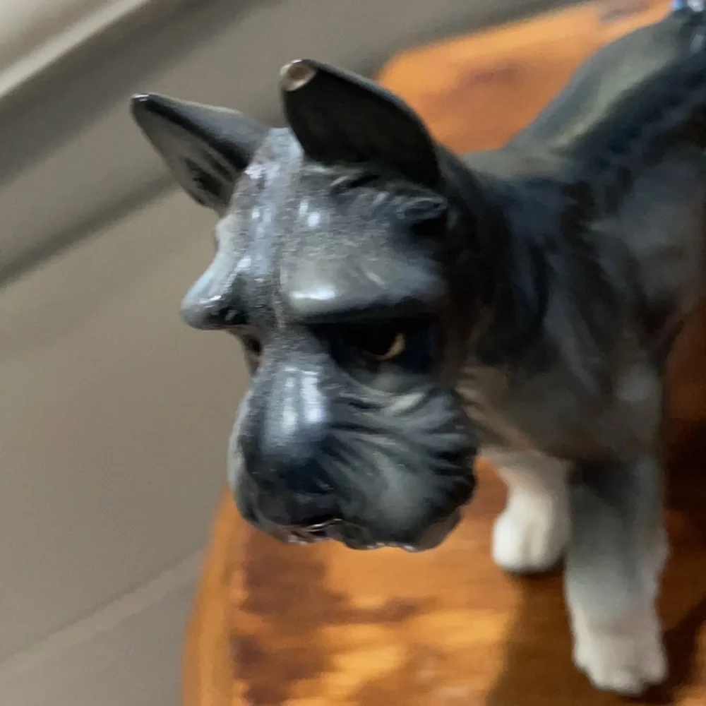 Dog statue chip on ear🐶